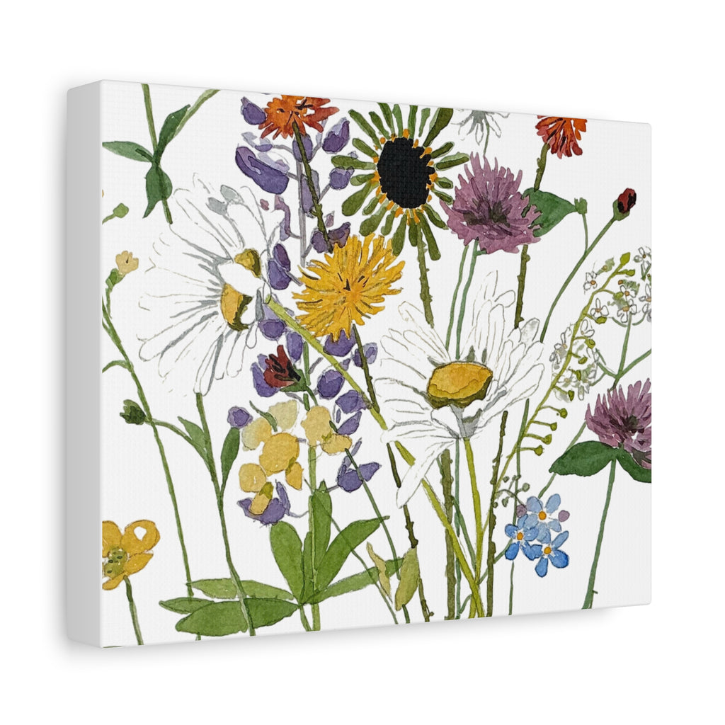 June Michigan Wildflowers Matte Canvas — Watercolor Daisies & Buttercups