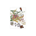 August Wildflowers & Monarch Butterflies Postcard Bundle (Envelopes Included)