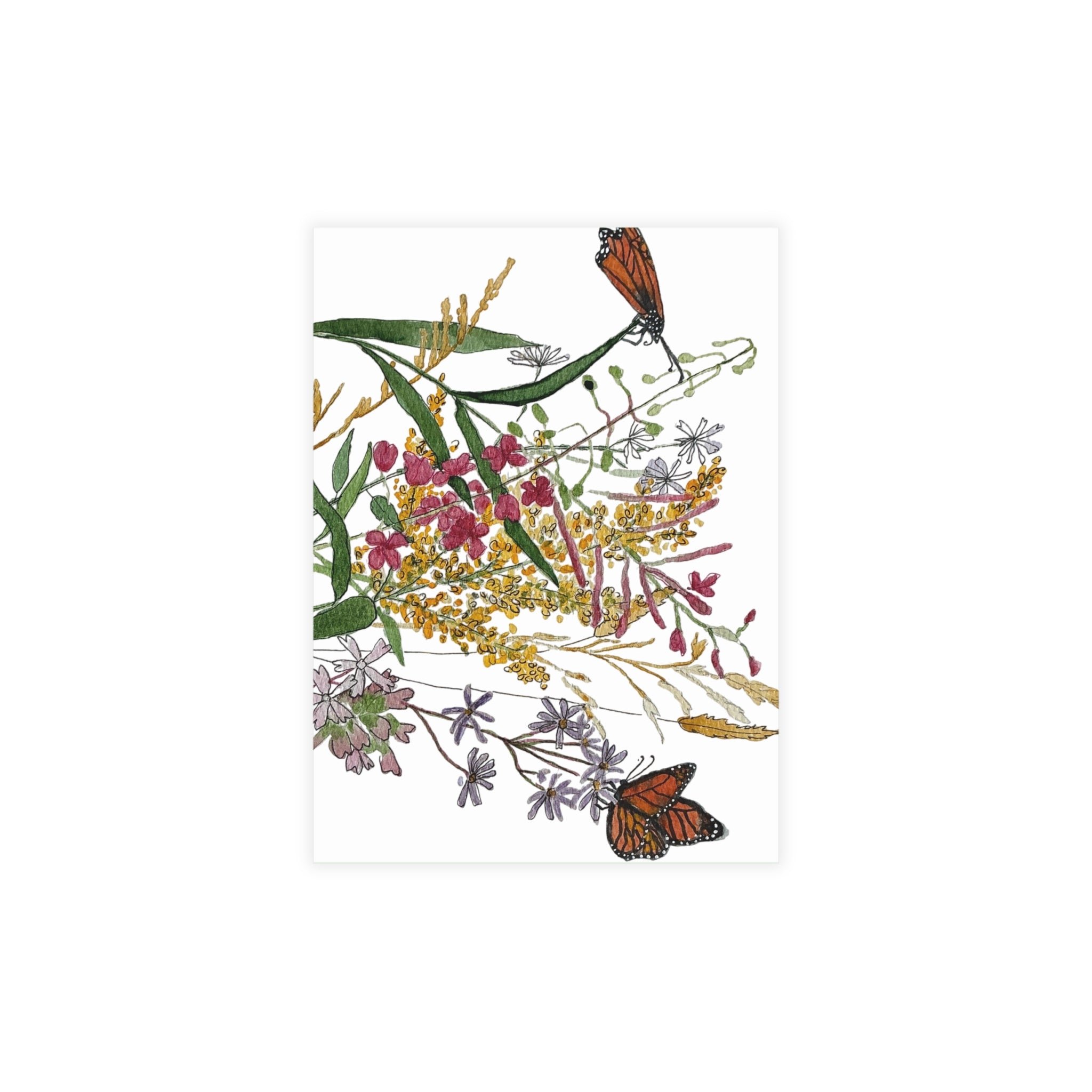 August Wildflowers & Monarch Butterflies Postcard Bundle (Envelopes Included)
