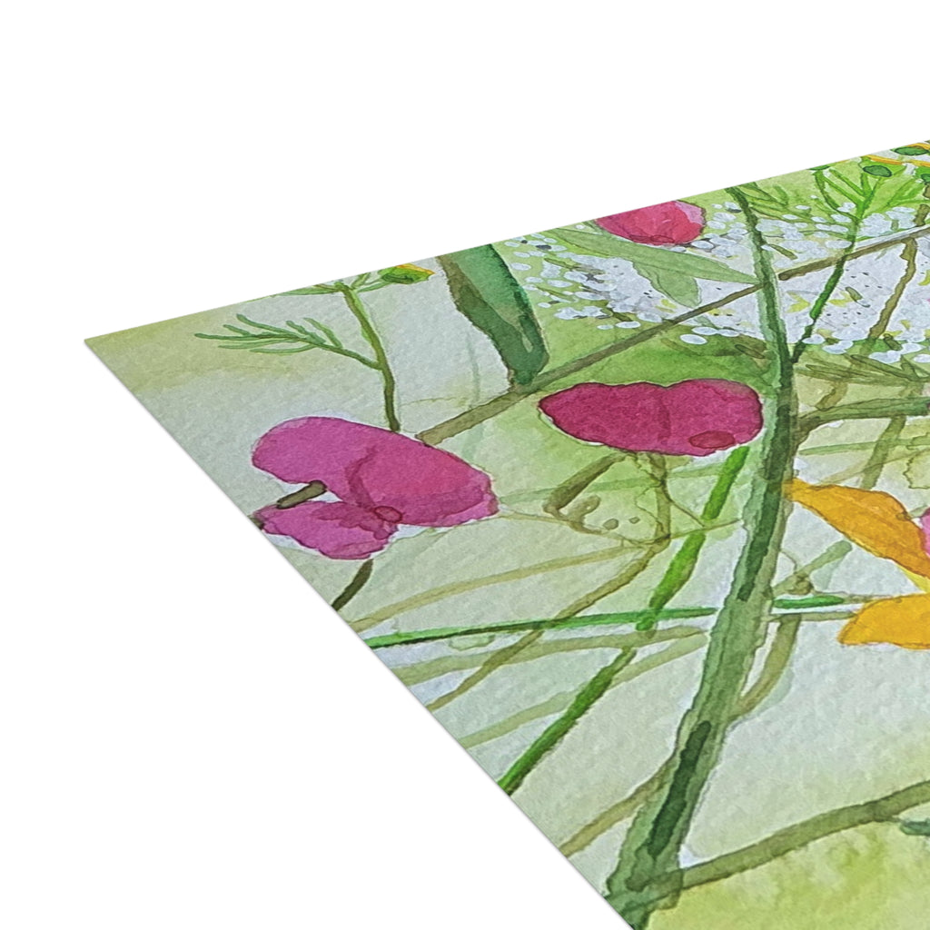 Floral Postcard Bundle — Sweet Peas, Brown Eyed Susans & Queen Anne's Lace (Envelopes Included)