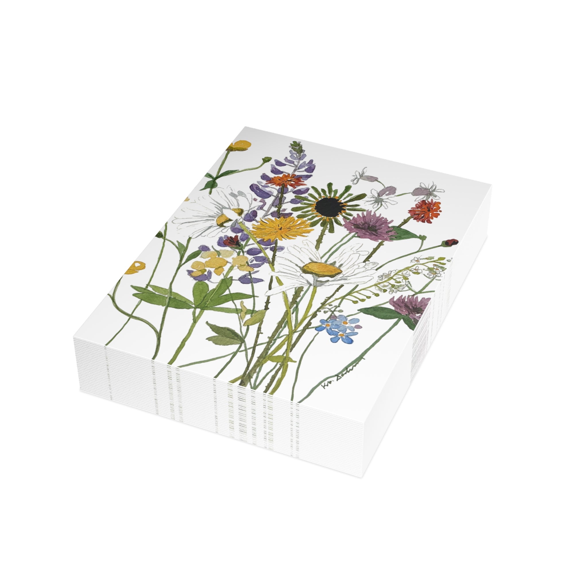 Daisies & June Michigan Wildflowers Postcard Bundle — Watercolor Floral Cards