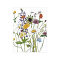 Daisies & June Michigan Wildflowers Postcard Bundle — Watercolor Floral Cards
