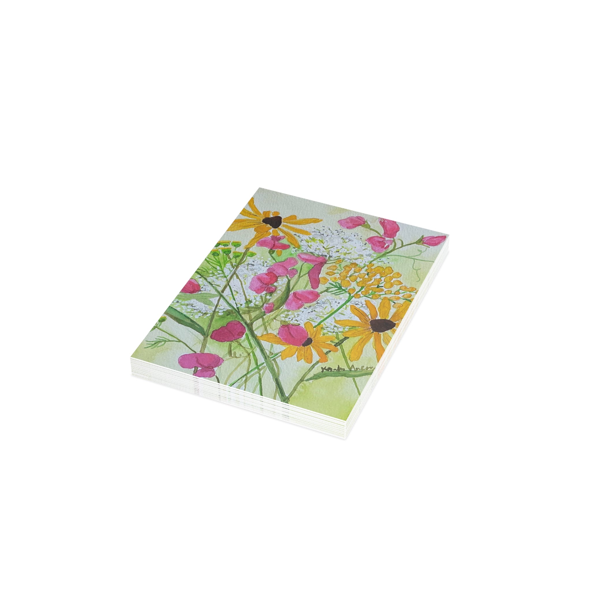 Floral Postcard Bundle — Sweet Peas, Brown Eyed Susans & Queen Anne's Lace (Envelopes Included)